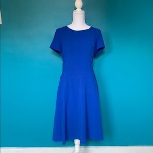 Cobalt Nine West Dress